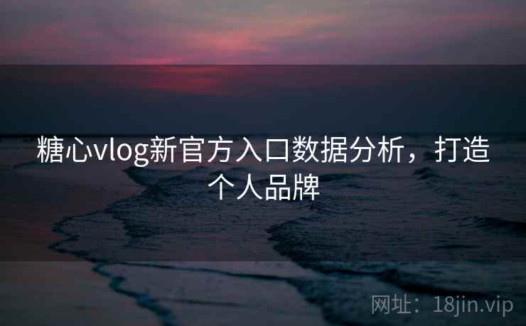 糖心vlog新官方入口数据分析,打造个人品牌 糖心vlog新官方入口数据分析,打造个人品牌
